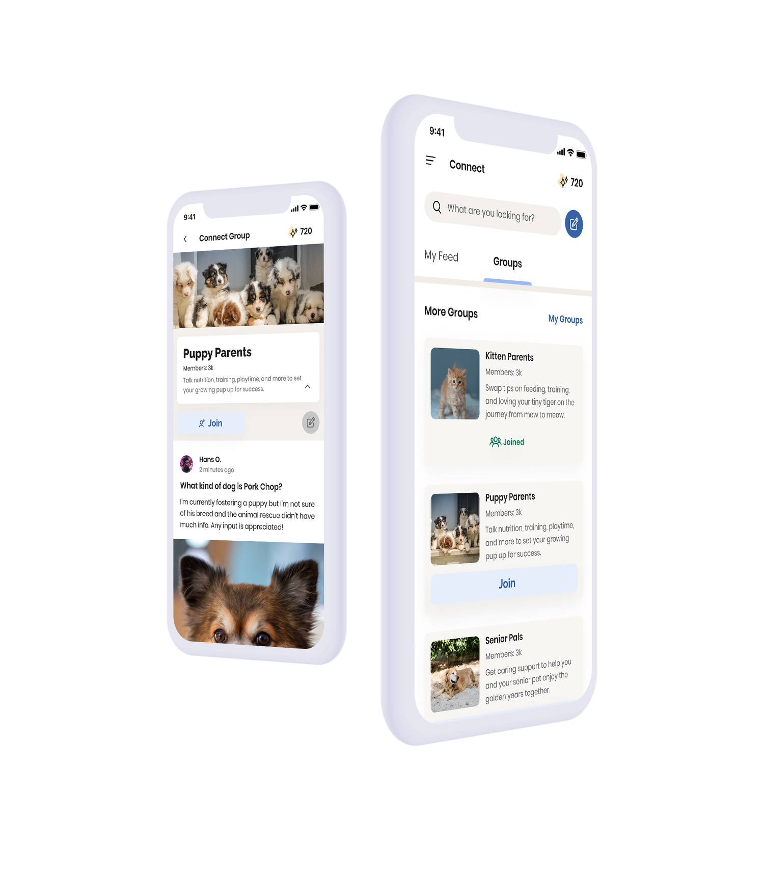 Groups feature